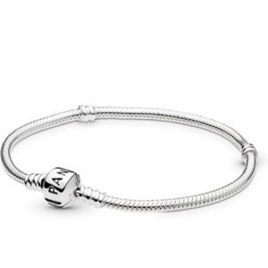 Pandora moments snake chain bracelet